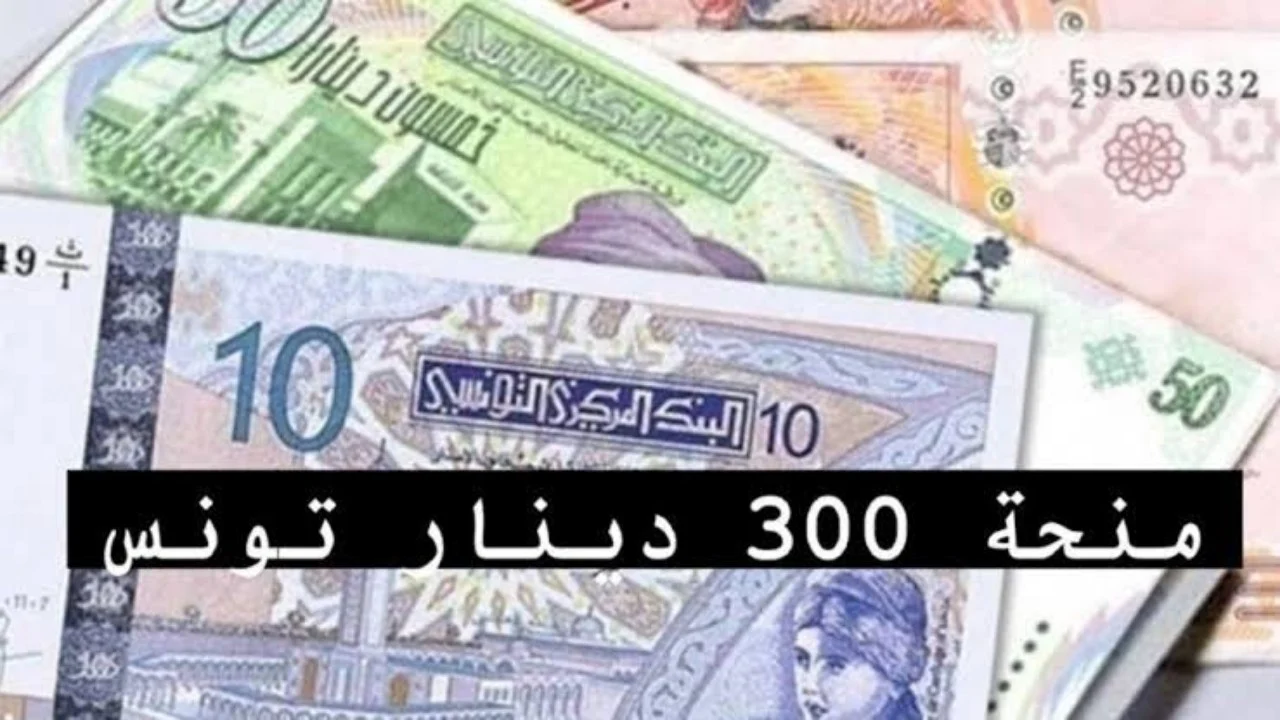 “الآن احصل عليها” .. رابط الحصول على منحة تونس 300 دينار لشهر يوليو 2024 بالخطوات وموعد الصرف