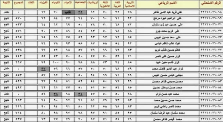 رابط رسمي.. استخراج نتائج السادس الاعدادي الدور الاول 2024 العراق بالرقم السري