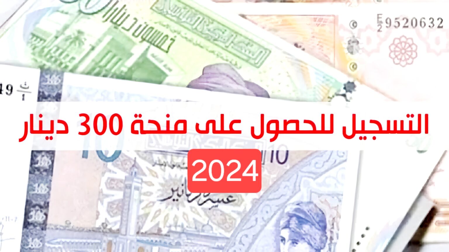 ” سجل الآن ” .. التسجيل في منحة 300 دينار تونسي 2024 والشروط المطلوبة