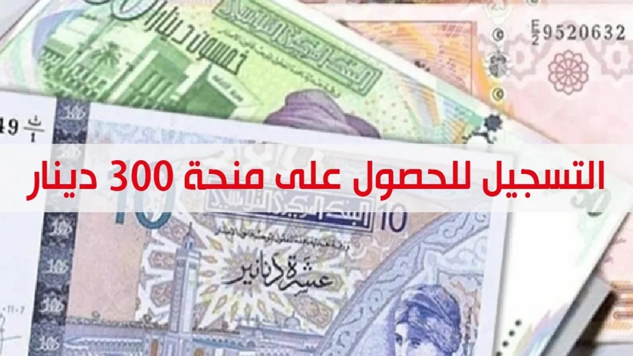 هل تستحق منحة 300 دينار؟ تعرف على الشروط والأوراق المطلوبة للتسجيل في منحة الدعم في تونس 2024