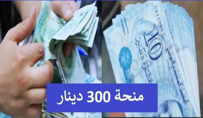 سجل للحصول على المنحة.. طريقة الحصول على منحة 300 دينار تونسي دعم للأسر