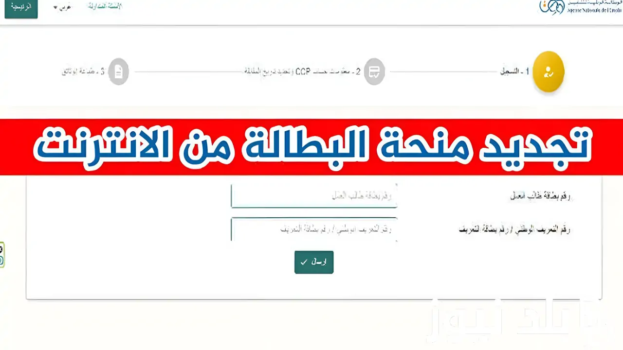 “الوكالة الوطنية للتشغيل anem.dz” رابط تجديد منحة البطالة كل 6 أشهر 2024 بالجزائر وأهم الشروط اللازمة 