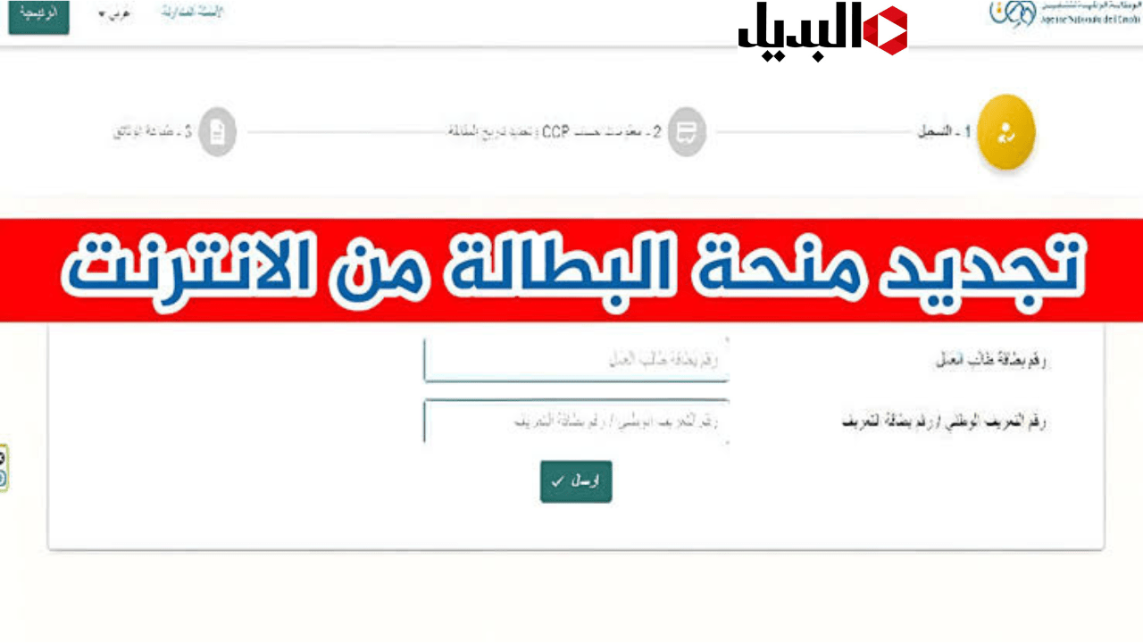 بكل سهولة.. خطوات تجديد منحة البطالة في الجزائر 2024 للعاطلين عن العمل