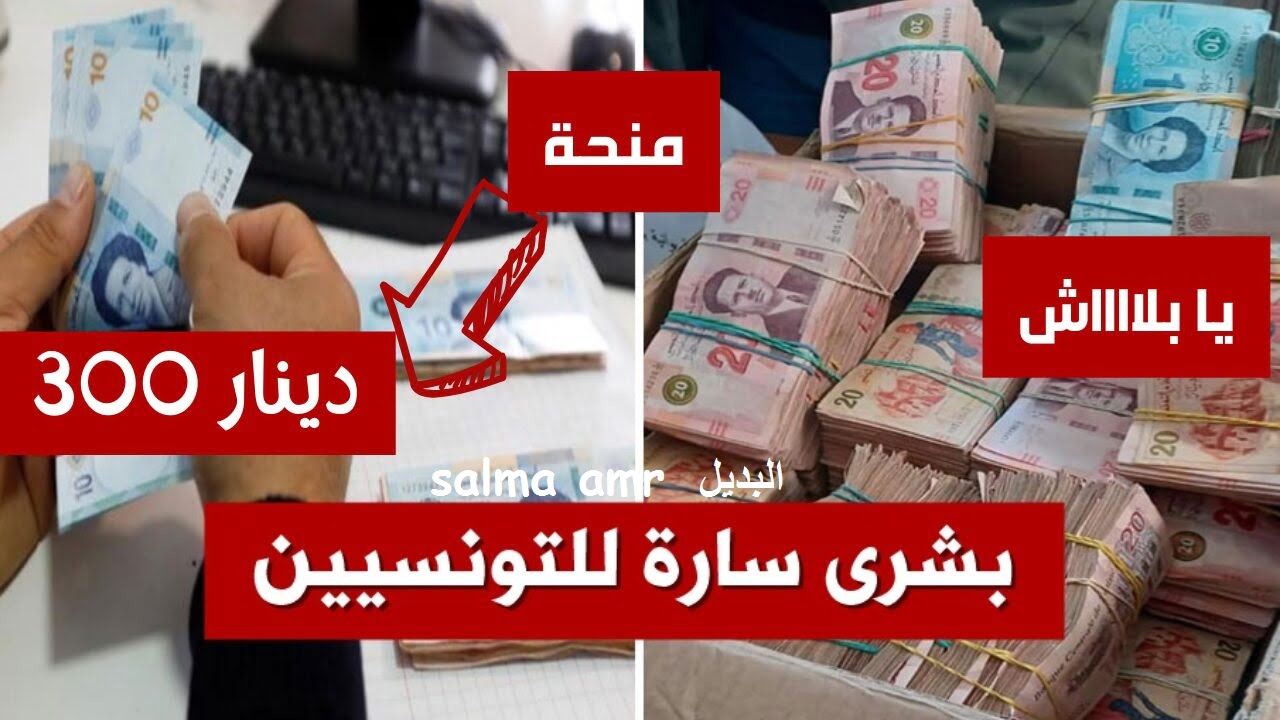 رابط التسجيل في منحة تونس 2024 والشروط اللازمة