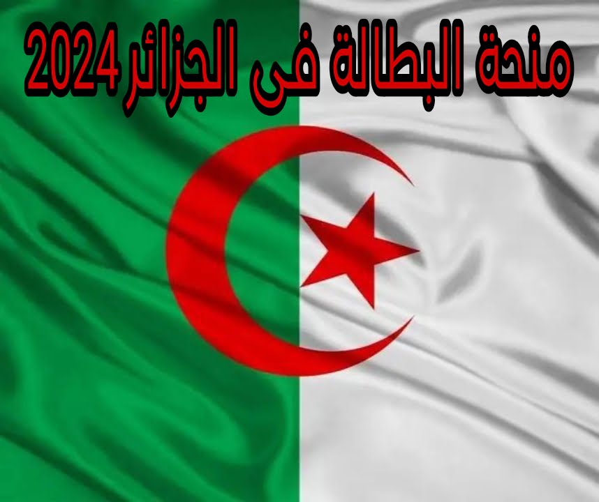 بلدك لن تنساك أبدا .. منحة البطالة فى الجزائر وشروط التسجيل فيها 5 بلدك لن تنساك أبدا .. منحة البطالة فى الجزائر وشروط التسجيل فيها