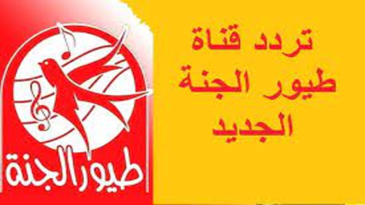 “فرح أولادك ونزلها ليهم” .. تردد قناة طيور بيبي الجديد لمتابعة أجمل أفلام الكرتون على النايل سات 2024