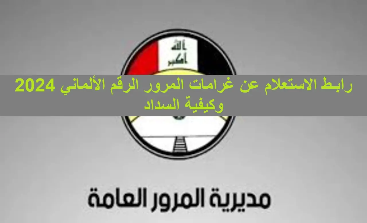 عبر منصة أور .. خطوات الاستعلام عن غرامات المرور إلكترونيا من خلال الرقم الألماني