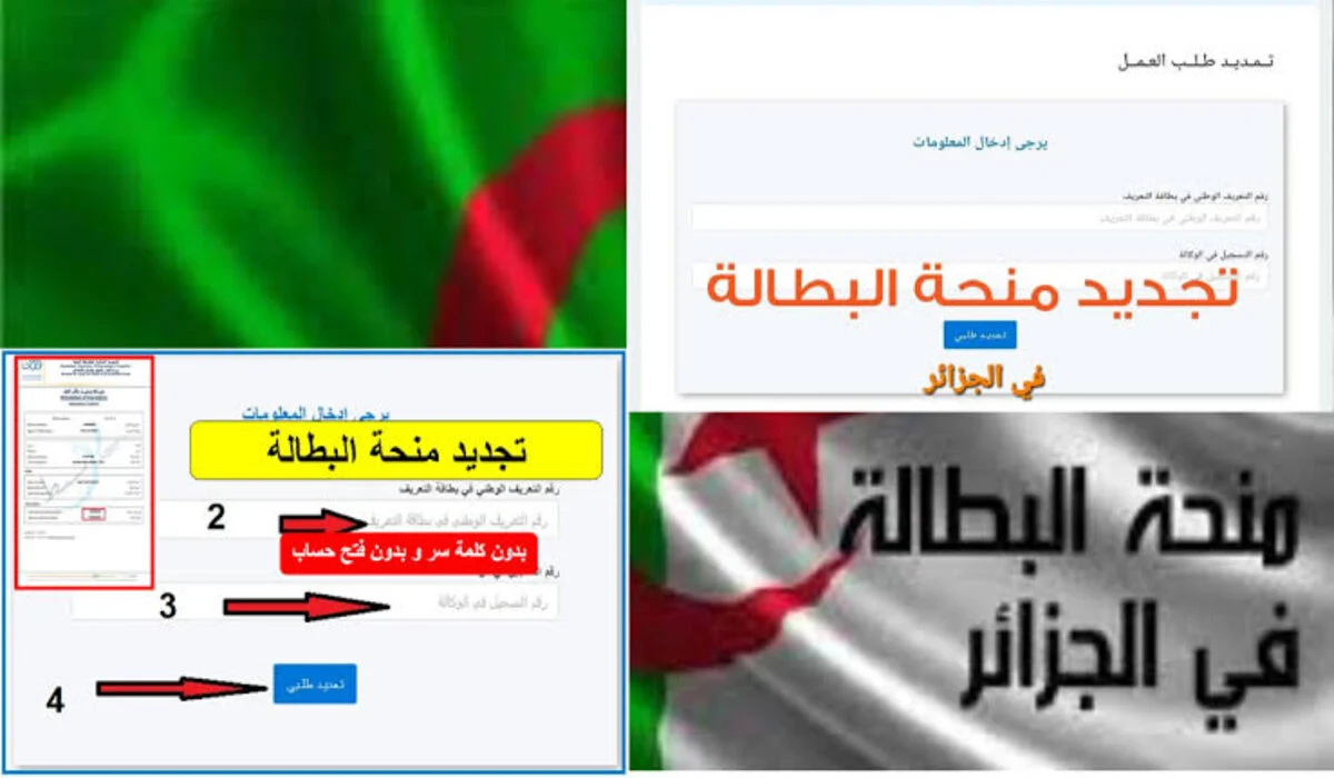 جددها بسرعة قبل الايقاف.. جدد منحة البطالة الجزائرية وتعرف على شروط تجديد المنحة