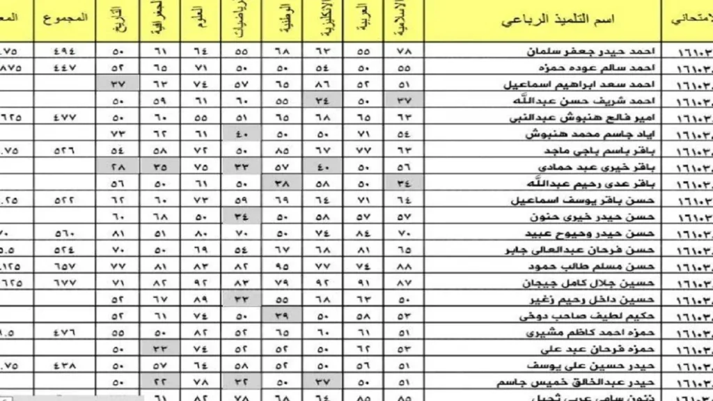 رسميًا.. ظهور نتائج الثالث متوسط الدور الثاني 2024 بالدرجات