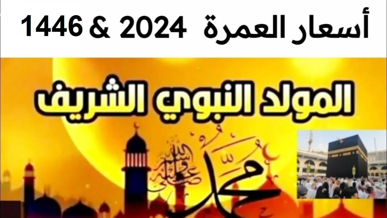 تبدأ من 27 ألف بس !! أسعار عمرة المولد النبوي 2024 باقات كتير اختار اللي يناسبك ” كل ما تحتاج معرفته “