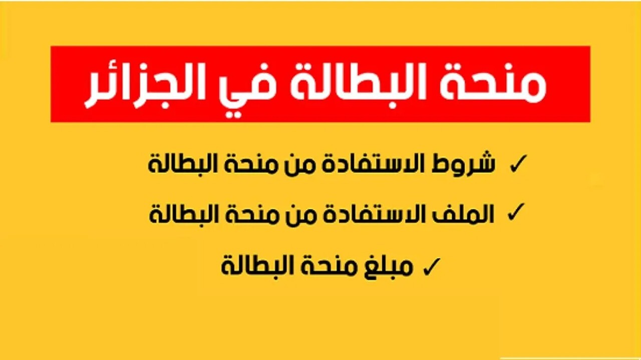 الوكالة الوطنية للتشغيل تعلن خطوات التسجيل في منحة البطالة بالجزائر وشروط التسجيل في المنحة 