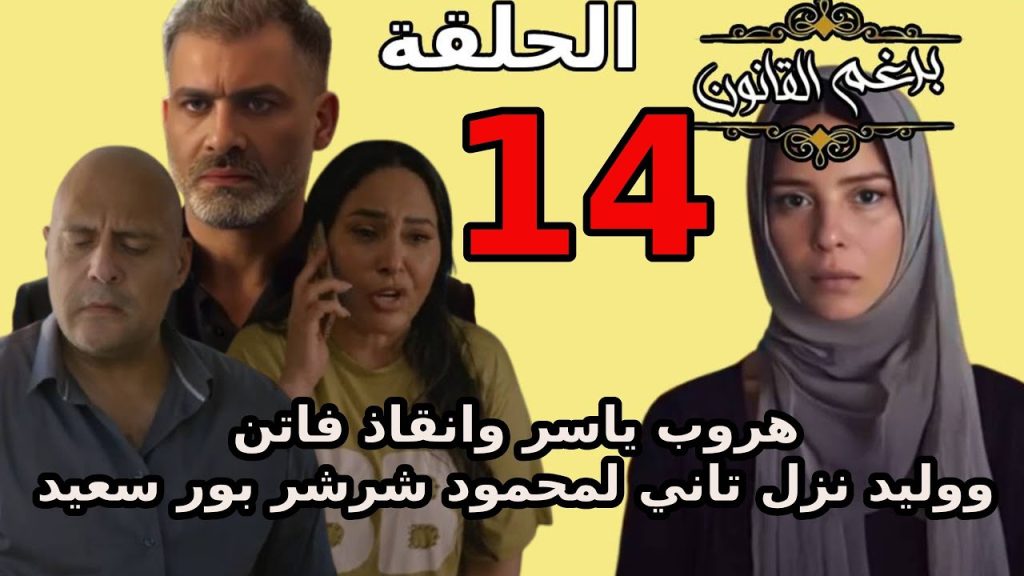 برغم القانون الحلقة 14