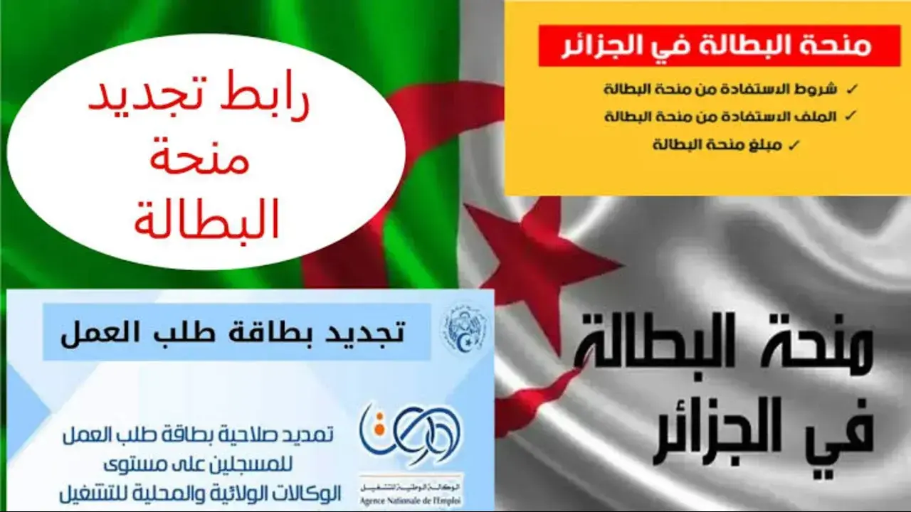 اضغط على رابط www.anem.dz واستفيد بمبلغ 2000 دينار شهريا.. كيفية تجديد منحة البطالة الجزائرية