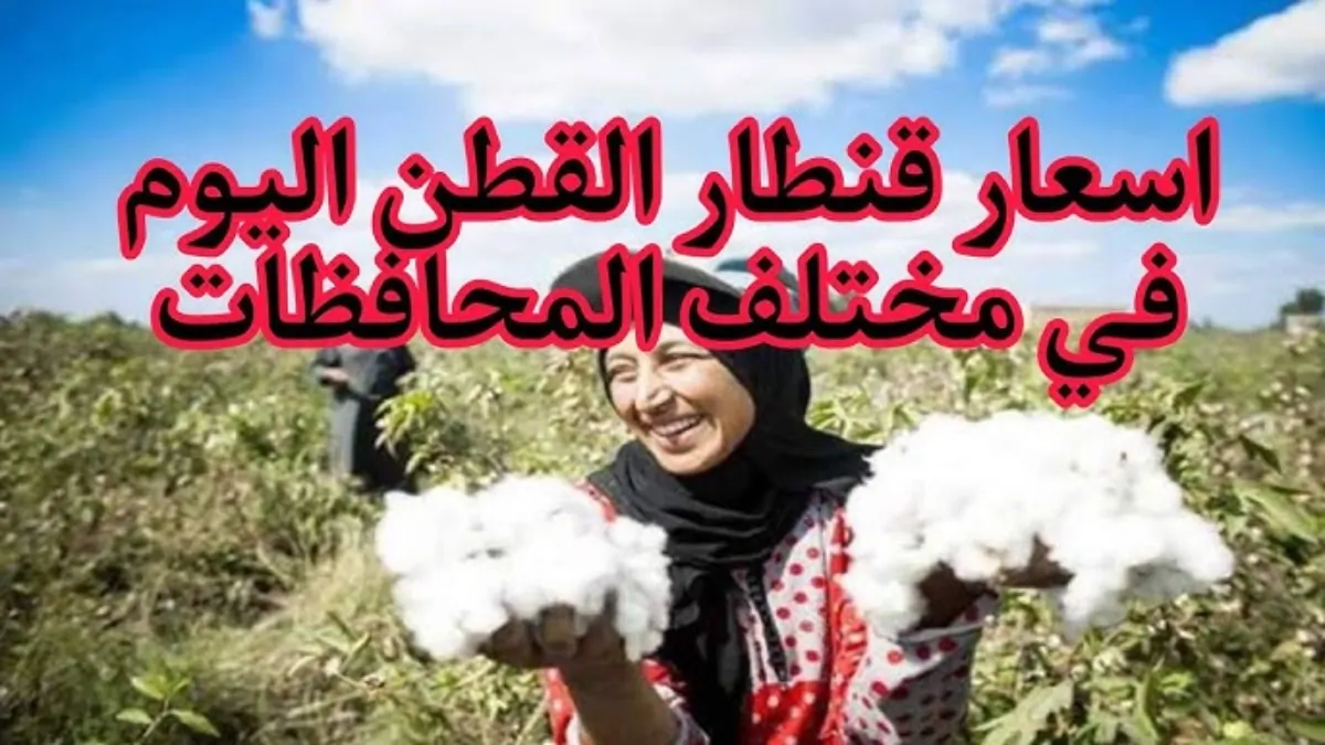 ارقص يا فلاح.. سعر القطن اليوم الخميس في مصر وجميع المحافظات 2025 5 ارقص يا فلاح.. سعر القطن اليوم الخميس في مصر وجميع المحافظات 2025