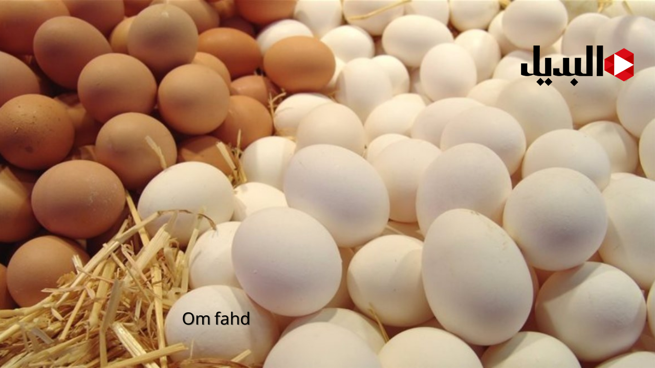 سعر كرتونه البيض اليوم الاحد 12 يناير 2025 بعد ارتفاع اسعار الفراخ البيضه والكتاكيت.. فوائد استخدام البيض كوجبة أساسية 5 سعر كرتونه البيض اليوم الاحد 12 يناير 2025 بعد ارتفاع اسعار الفراخ البيضه والكتاكيت.. فوائد استخدام البيض كوجبة أساسية
