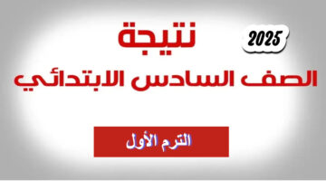 Untitled Project 2025 01 18T094738.632