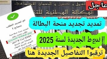 images 2025 01 09T071841.332 1024x5842 1