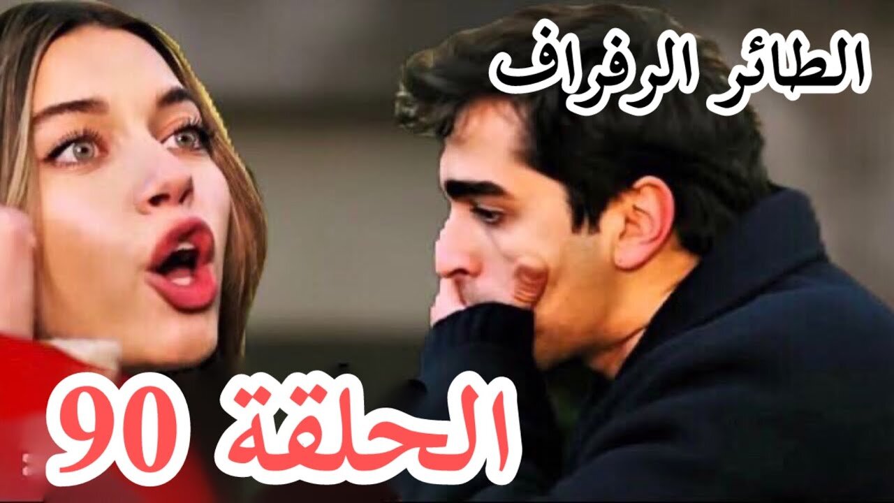 سيران تكتشف خيانة فريد.. صدمة كبيرة في احداث الحلقة 90 من مسلسل طائر الرفراف وموعد عرض المسلسل