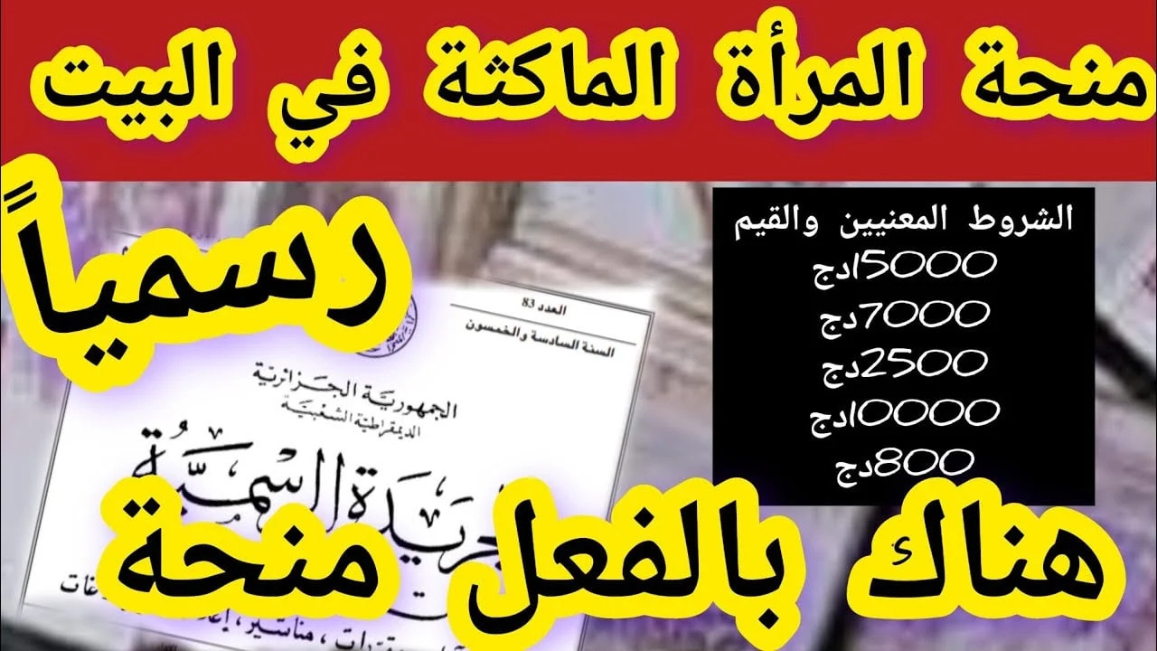 هتقبضي 800 دينار.. خطوات التسجيل في منحة المرأة الماكثة في البيت 2025 بالجزائر 5 هتقبضي 800 دينار.. خطوات التسجيل في منحة المرأة الماكثة في البيت 2025 بالجزائر