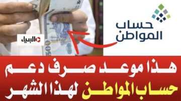 5E5342D1 233D 49E1 9AB1 54D0DC0CBCFD