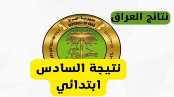 11zon resized 2025 05 20T102038.665