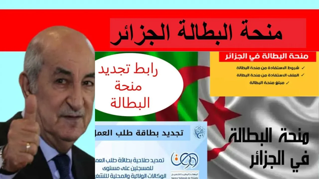 “هتتحرم من الفلوس لو اتأخرت”.. تحذير رسمي للجزائريين بشأن تجديد منحة البطالة 2025 قبل الموعد المحدد.. “جددها الان”!!