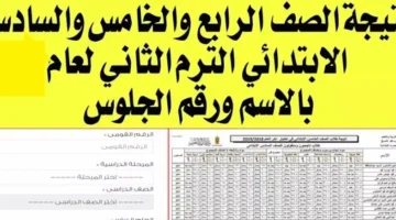 image 870x 683f2f379900c e1749687881312