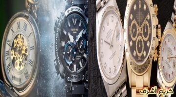 img 1748878576279 768x432 1 1