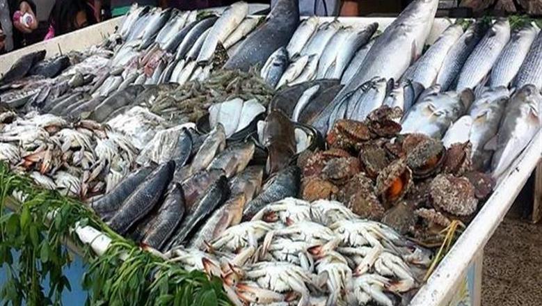 ” بكام السمك والجمبري النهاردة” أسعار السمك اليوم في سوق العبور الثلاثاء 10 يونيو