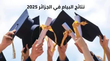 رابط الاستعلام نتائج شهادة التعليم المتوسط 2025.jpg 1