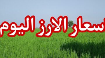 سعر الأرز الشعير اليوم