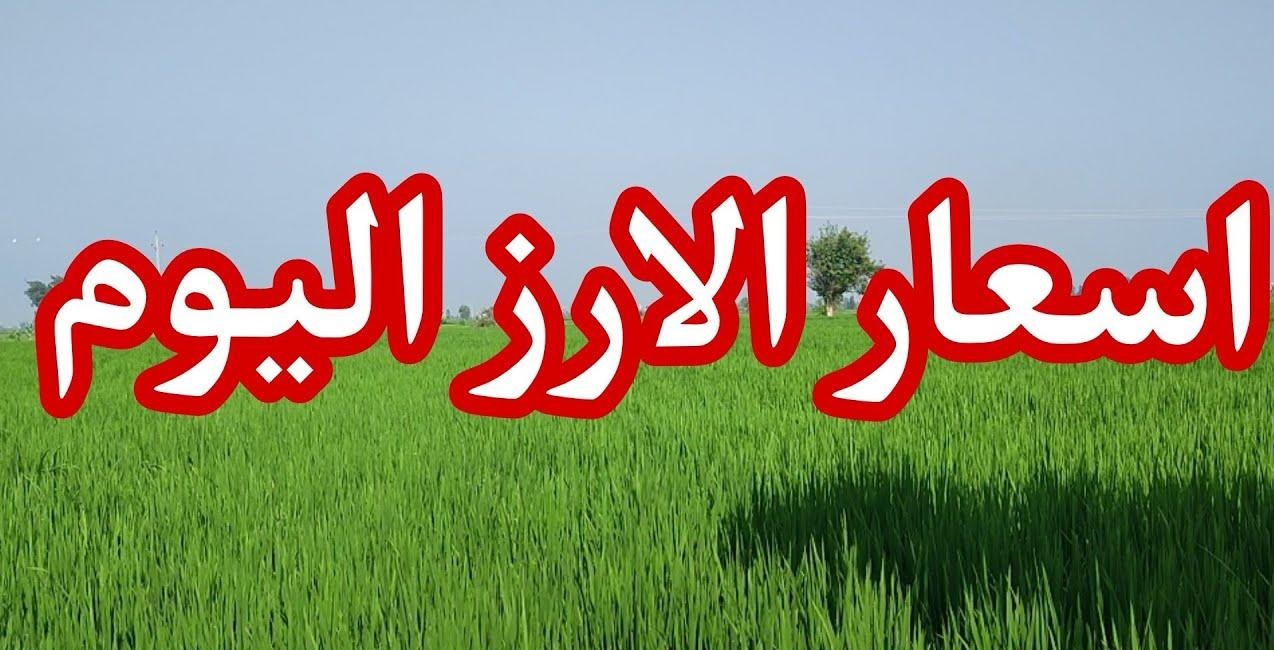بكام الأردب الآن.. سعر الأرز الشعير اليوم في مصر الثلاثاء 30 سبتمبر 2025 5 بكام الأردب الآن.. سعر الأرز الشعير اليوم في مصر الثلاثاء 30 سبتمبر 2025