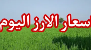 سعر الأرز الشعير اليوم