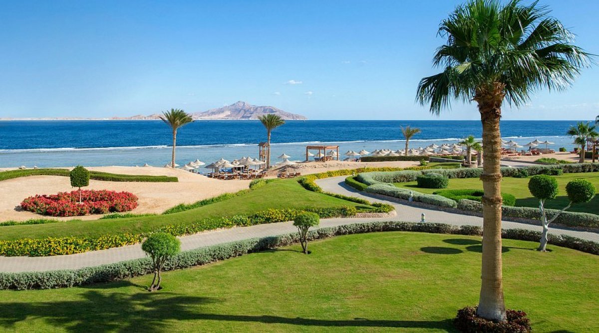 موعد إجازة نصف العام الدراسي 2026 للمدارس والجامعات في مصر: نظرة مفصلة